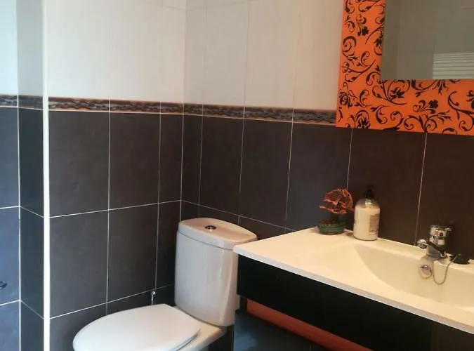 Dalia * סואנסס